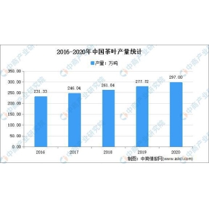 2021宝博体育注册年中国茶叶产量状况阐